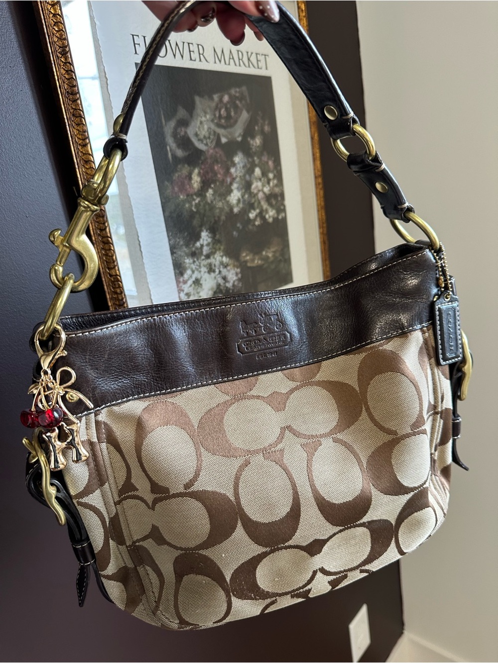 Coach Zoe F12657 Signature Jacquard Hobo Shoulder Bag Brown Y2K